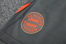 Kit Shirt + Shorts Bayern Munich Training 25/26